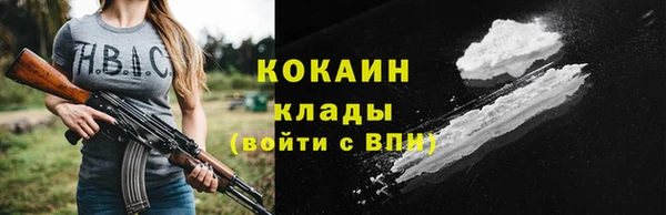 прущие грибы Пестово