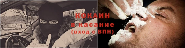 прущие грибы Пестово