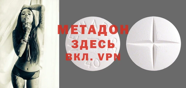 прущие грибы Пестово