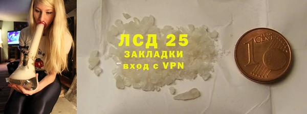 прущие грибы Пестово