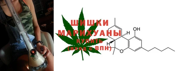 прущие грибы Пестово