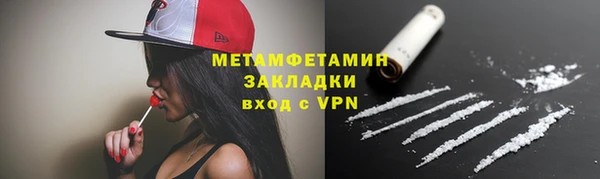 прущие грибы Пестово