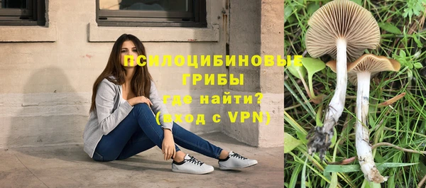 сатива Переславль-Залесский