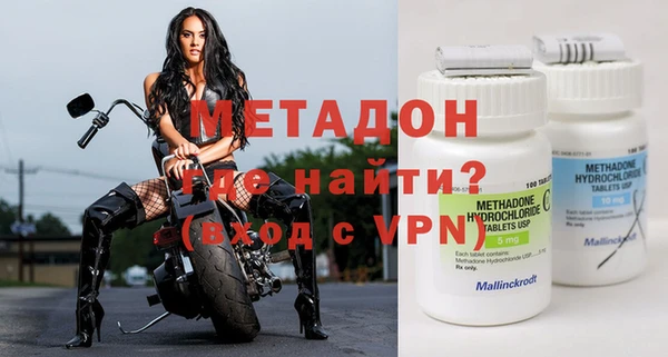 прущие грибы Пестово